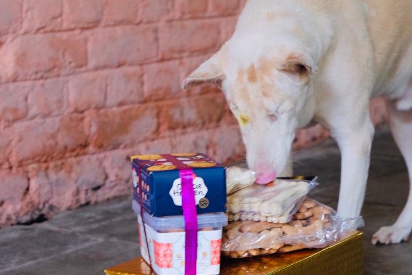 Blindie inspects his Diwali presents